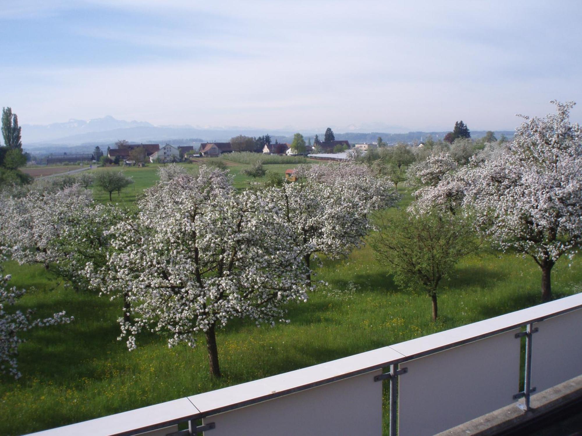 Haus St.Michael Hotel Dozwil Buitenkant foto