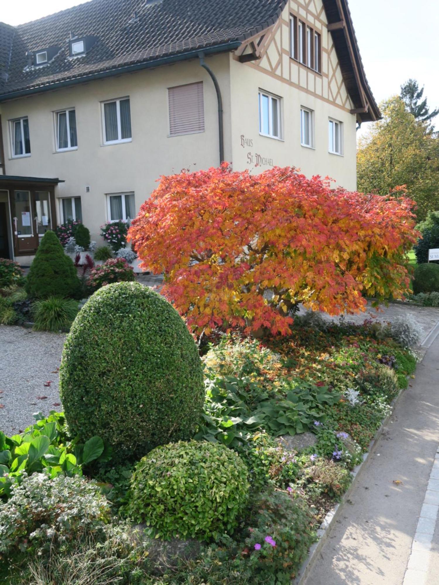 Haus St.Michael Hotel Dozwil Buitenkant foto
